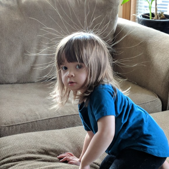 Meet your Posher, Leila - Picture 1 of 1